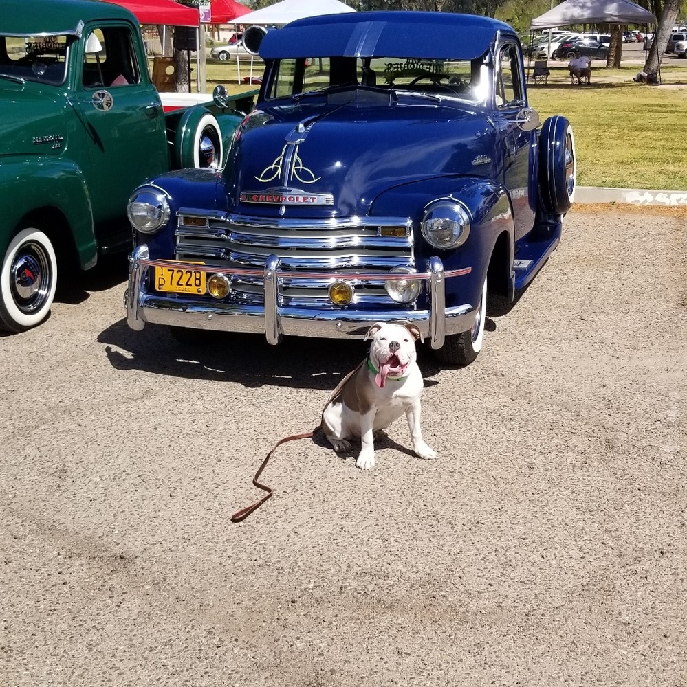 Meet your Posher, Jesse